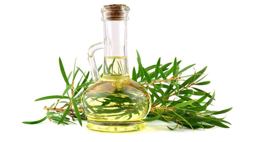 Olio dell'albero del tè in funge