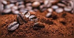 Caffè naturale per il trattamento del fungo
